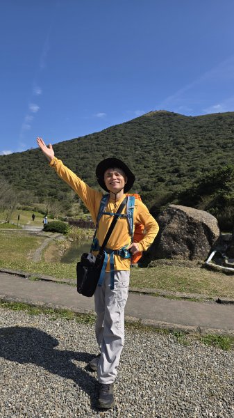 2025楓樹湖木蓮花即將大爆發，近似球形的花朵枝頭綻放，滿山滿谷粉紅泡泡，相當浪漫2711971