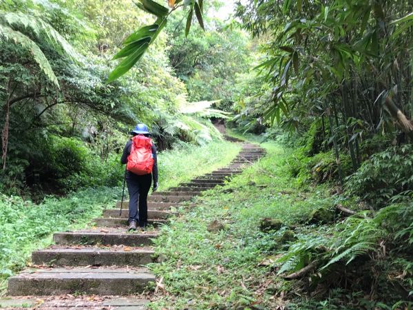 新平溪媒礦園區上五分山396083