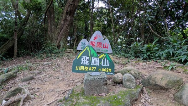飛鳳山步道3118557