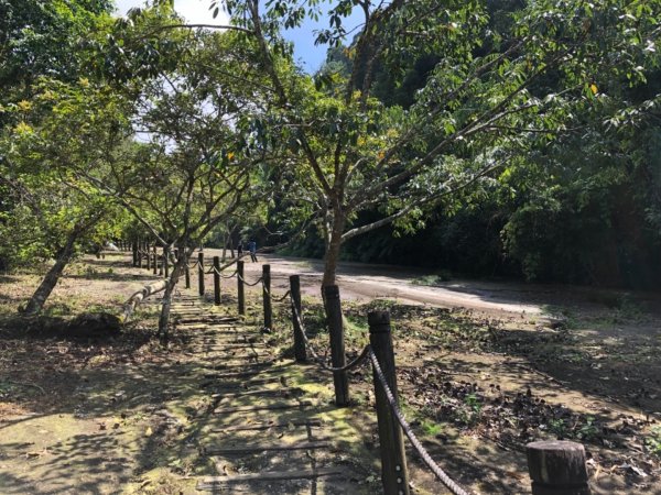 達娜伊谷走里美避難歩道、巨石坂步道690811