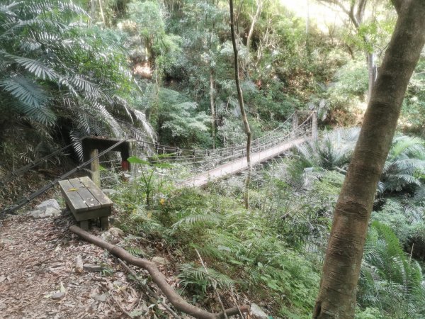 德芙蘭生態步道-綠蔭遮陽，涼風徐徐避暑道1049639