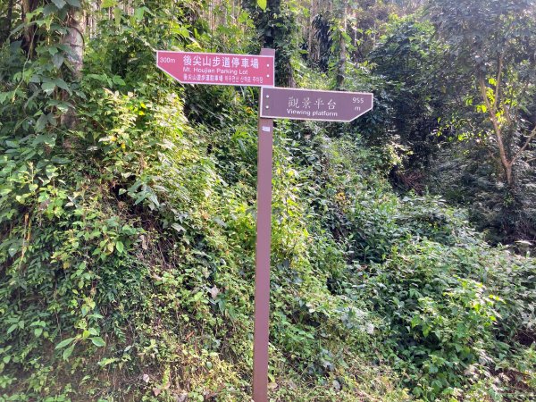 後尖山步道2683555