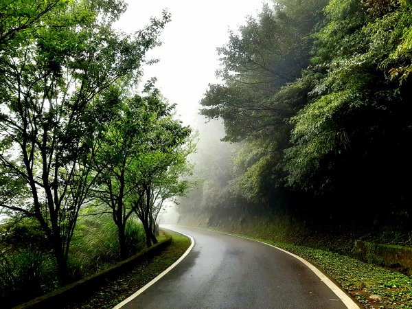 走遍陽明山：大屯山系｜青楓、中正山步道2085926