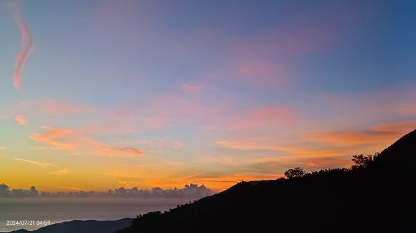 雲山水花鳥蝶 - 天龍國阿伯的日常7/18 & 21、22、292555556