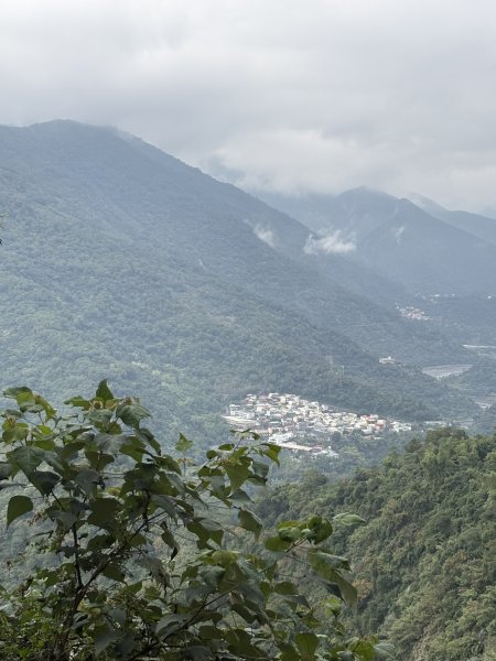 20251227尾寮山登山步道2970503