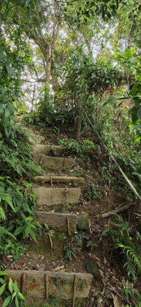 2026-0313 烘爐地步道-南勢角山-紫竹寺3015908