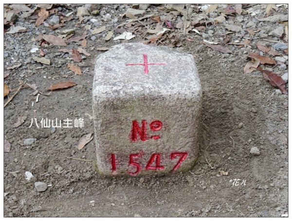 南松鶴山～八仙山 (台中 和平)2926090