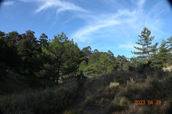 南投 仁愛 武法奈尾山2133755