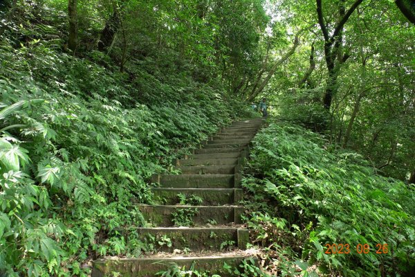 基隆 頂寮山、龍門山、五分山、頂子寮山2265968
