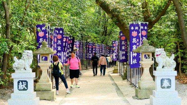 花窟神社,關宿,御在所岳2807575