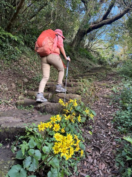二子坪步道 經遊憩區 上面天山 202511082935048