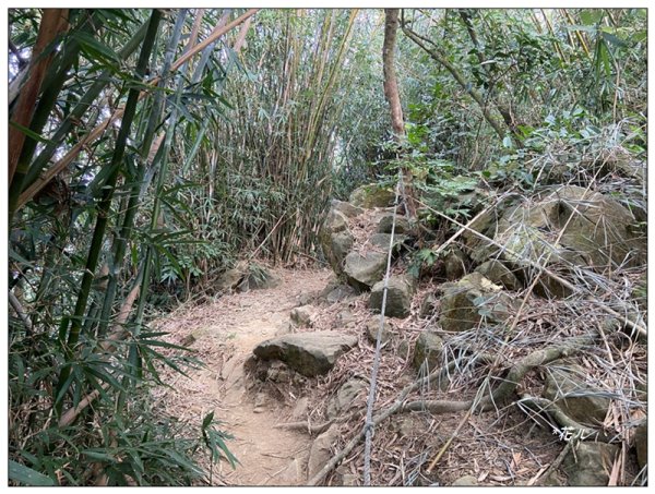 旗靈縱走(旗尾山、福美山、金字面山、人頭山、靈山)2996490