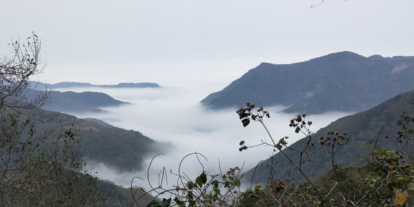 202102 小百岳李棟山，加碼魯壁山1292324