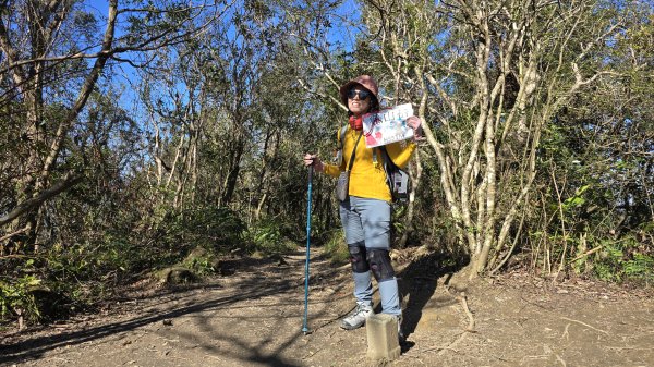 2025貓空樟樹步道花海搶先看，展期：1月18-2月9日，喜歡小冒險可以挑戰攀爬路線猴山岳。2691448