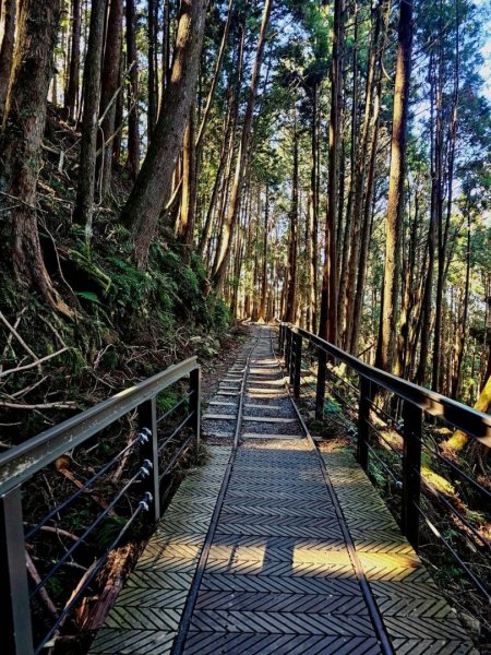 1141122特富野古道2945772