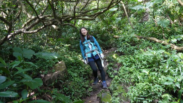 觀音山登山健行趣(小百岳05號)1632401