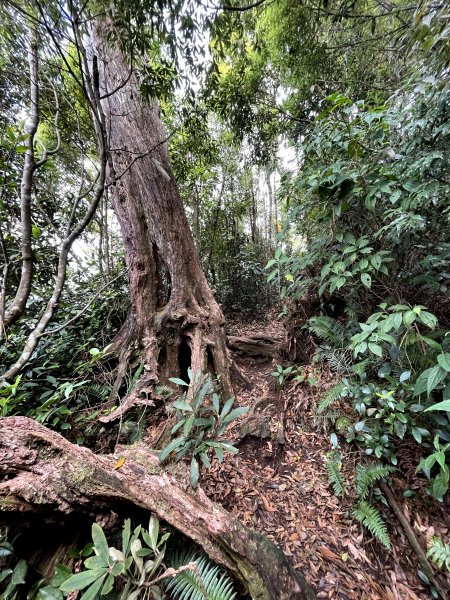 埔里練練腳Day1 熱身～小百岳 關刀山1503814