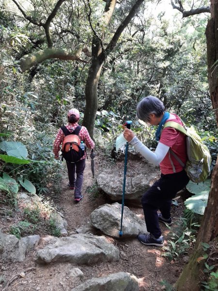 【小百岳集起來】（2-2） 樹林大同山、青龍嶺、大棟山連走碧龍步道、牛灶山步道、孫龍步道1480765