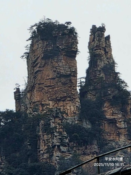 2025/11/8-10張家界園區2939334