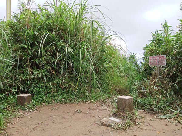 ［山系野遊］［小百岳集起來］#010 五分山步道舊地重遊趣