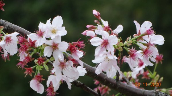 沒有意外，再度槓龜 !876574