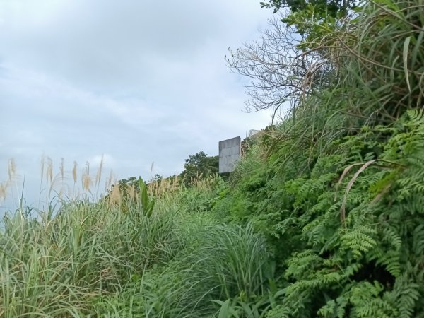 瑞芳區基隆山步道O型3010167