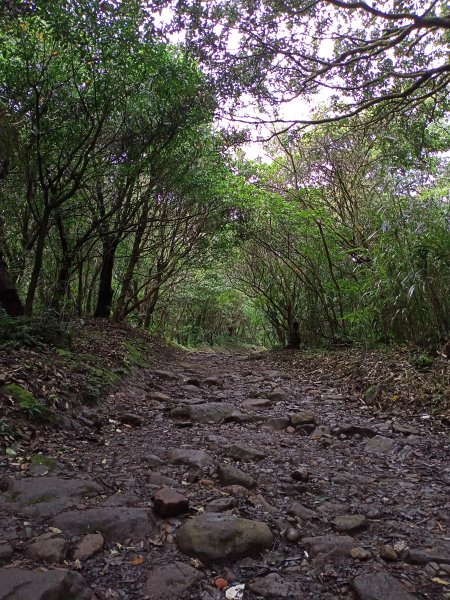 【臺北大縱走 1】二子坪→面天山→清天宮1274591