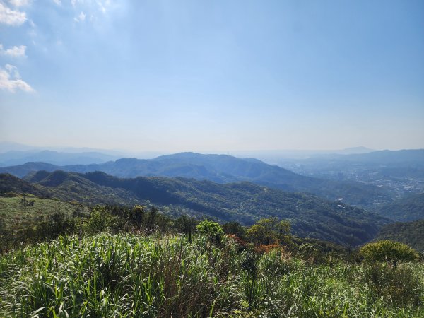 20250322-姜子寮山2740002