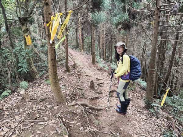 向天湖三山+ 南大龜山3012322
