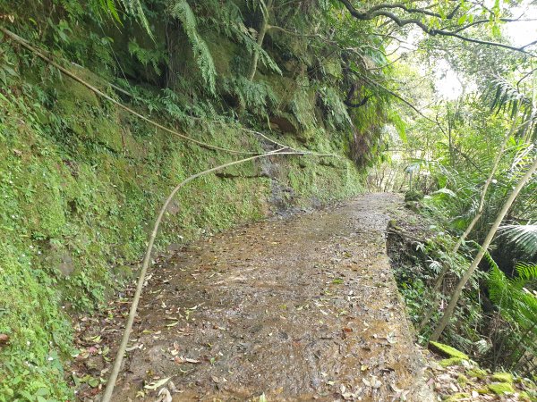 拱北殿、刣狗寮山、十四坑山、新山夢湖、北港山O型(北港山部分放棄)1679268