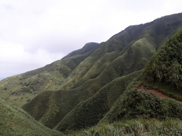 聖母山莊(抹茶山)712912