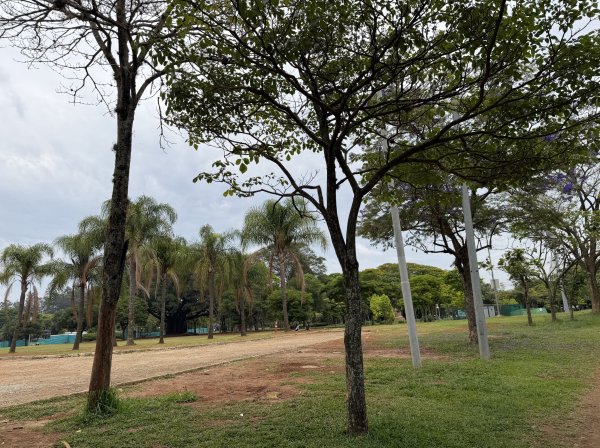 [紐約馬之行-67] 2025_1116 伊比拉布埃拉公園-上2955037