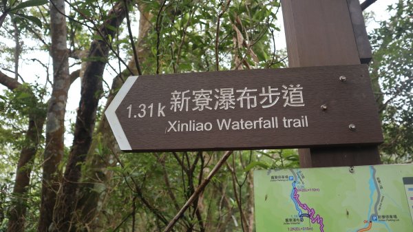 新舊寮瀑布O型登山健行趣(步道)2328240