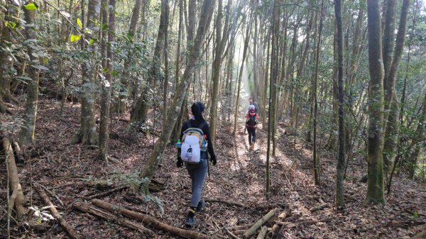 惠蓀大O聖逆走二部曲  2024年12月29日2679238