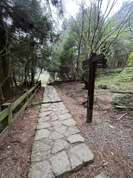 陽明山東西大縱走-東段2984549