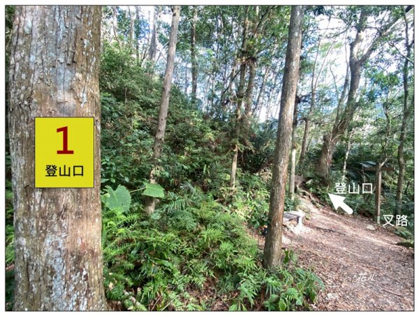 虎山、水雲三星之首 ( 苗栗、泰安 )2977380