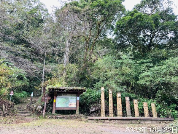 特富野古道2846009