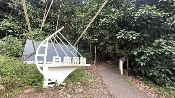 谷關白毛山2685536