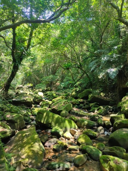 ［2023 台北大縱走第四段］（大湖捷運~楓櫃嘴）2189121