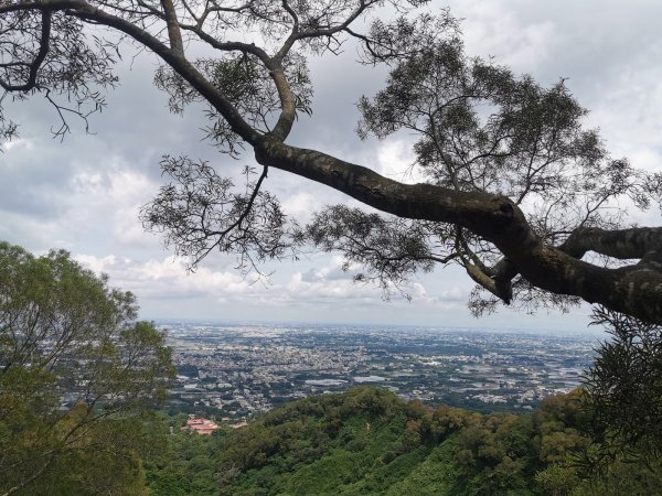 田中森林登山步道-依山稜線而建且景觀良好1048109