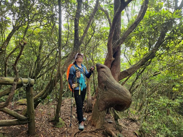 橫嶺山／沙蓮山／笛吹山O繞2787684