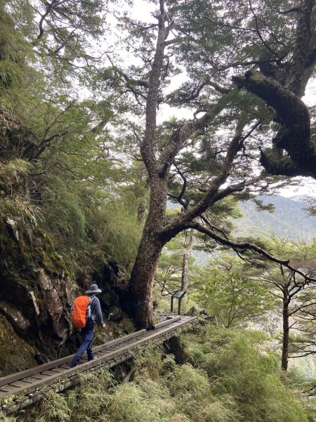 20230515-16玉山前西峰+遠望雨中的主東北2436681