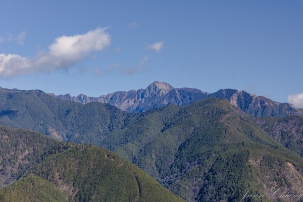 福壽山千櫻園櫻花季初開2717425