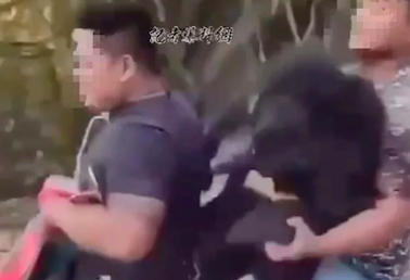 【新聞】影／台灣黑熊遭獵殺被「三貼」 黑熊媽媽痛心違背原民文化