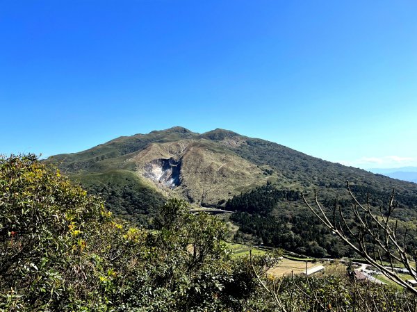 走遍陽明山：人車分道系統｜遇見霸王七葉一枝花2062869