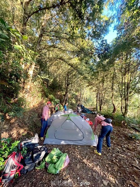 【南投信義】陡上陡下無冷場叫大山的都不好惹。 No91百岳~西巒大山 (人倫林道進出)2402357