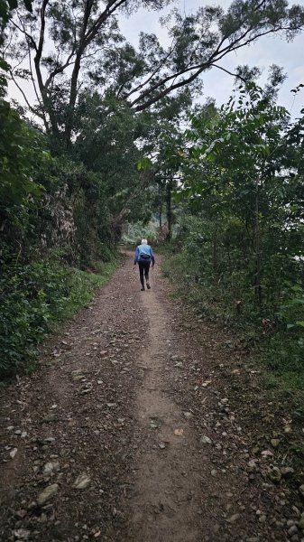 250105-七衝魔王小百岳#073尾寮山。開春第一走，最愛仍是你。2697960