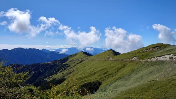 2020/11/11 合歡東峰、石門山1311447