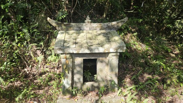 20251217麗水保甲路-麻斯廪水圳步道-大湖古道2964502