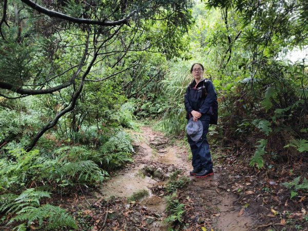 冷水坑上磺嘴山來回2842043